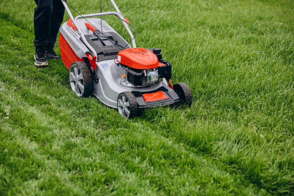Healthy, well-maintained lawn
