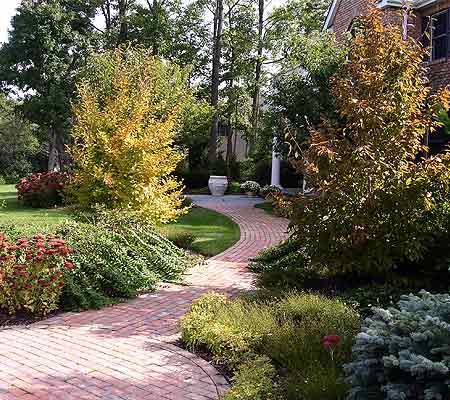 Brick paver walkway through mature landscaping