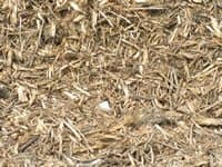 Mulches landscape material