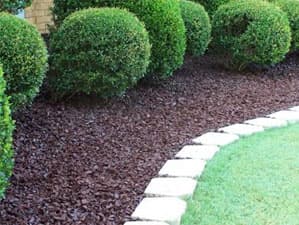 Landscaped yard