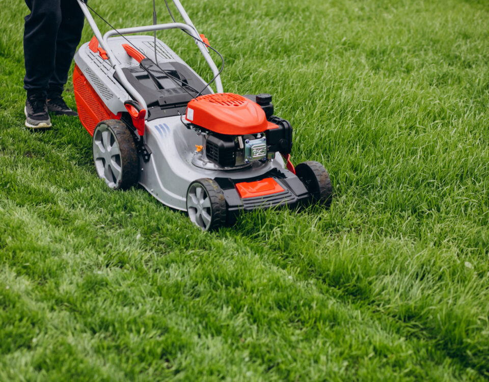 The Importance of Regular Lawn Maintenance for a Healthy Yard
