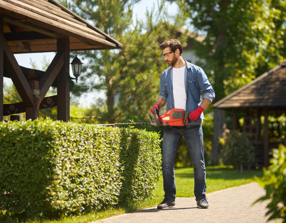 Spring Landscaping Tips: Transform Your Yard with Professional Care